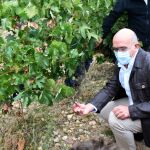 El consejero de Agricultura, Ganadería y Desarrollo Rural, Jesús Julio Carnero, durante la visita a unos viñedos