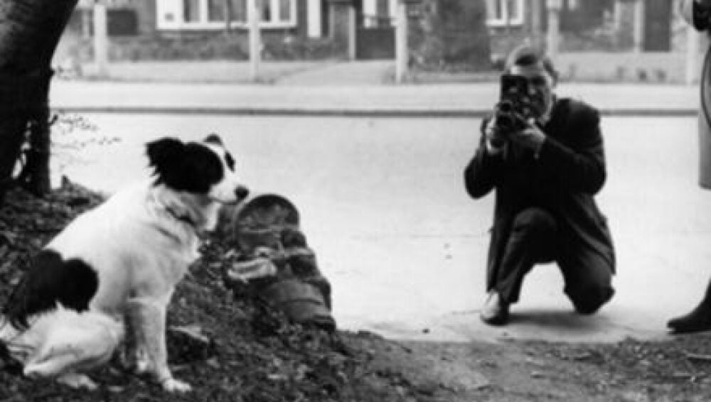 Pickles, el perro que encontró la Copa del Mundo