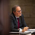 El president de la Generalitat, Quim Torra, en el Palau de la Generalitat