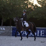 Uno de los caballos de la Yeguada Arroyomonte durante el campeonato