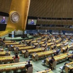 Asamblea General de la ONU