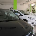 Vista de varios vehículos puestos a la venta en un concesionario
