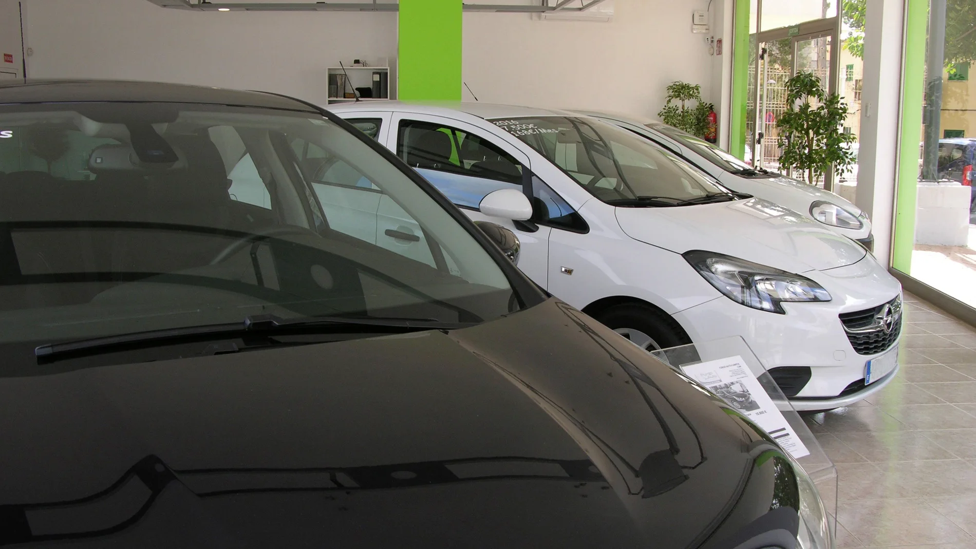 Vista de varios vehículos puestos a la venta en un concesionario