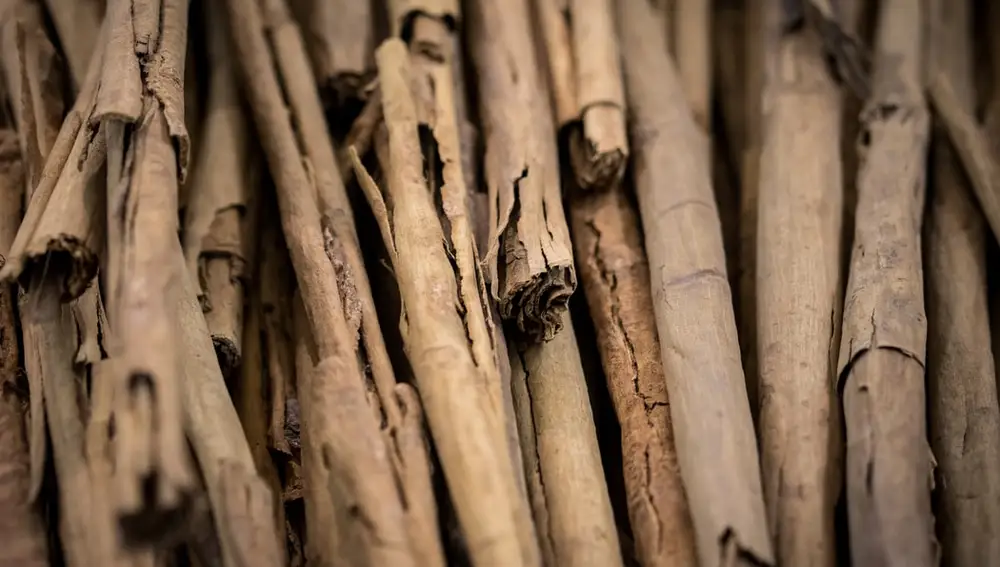 Las especias y los ingredientes utilizados para elaborar los tradicionales platos hindúes contienen muchos beneficios para la salud. Entre ellos la canela de Ceilán | Fuente: Unsplash