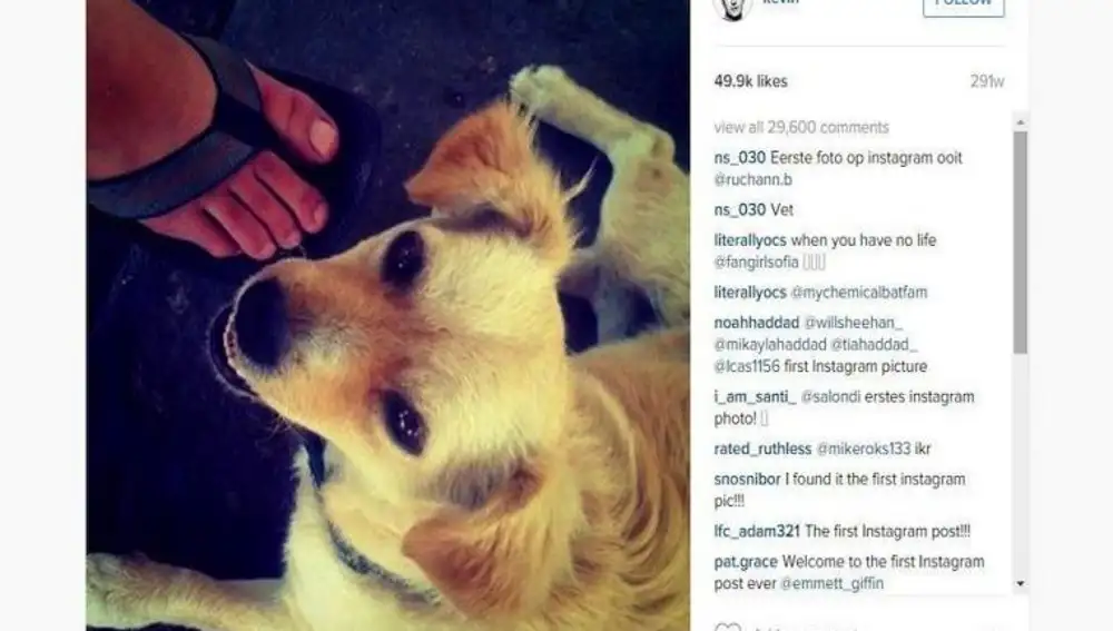 El perro de Kevin Syntrom, fundador de Instagram