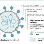 Virus y dispersión