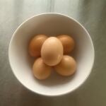 Un palto con huevos, en una imagen de archivo