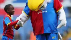 La mascota del Crystal Palace