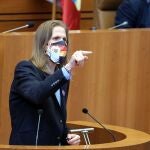 El portavoz del Grupo Parlamentario Podemos, Pablo Fernández
