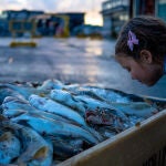 Algo huele a podrido en Islandia pero por que ciertas personas no lo notan
