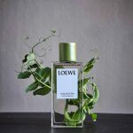 LOEWE Home
