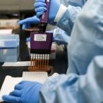 La inmunoterapia ha cobrado un peso muy relevante en los últimos años en lo relativo al tratamiento de los tumores
