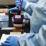 La inmunoterapia ha cobrado un peso muy relevante en los últimos años en lo relativo al tratamiento de los tumores