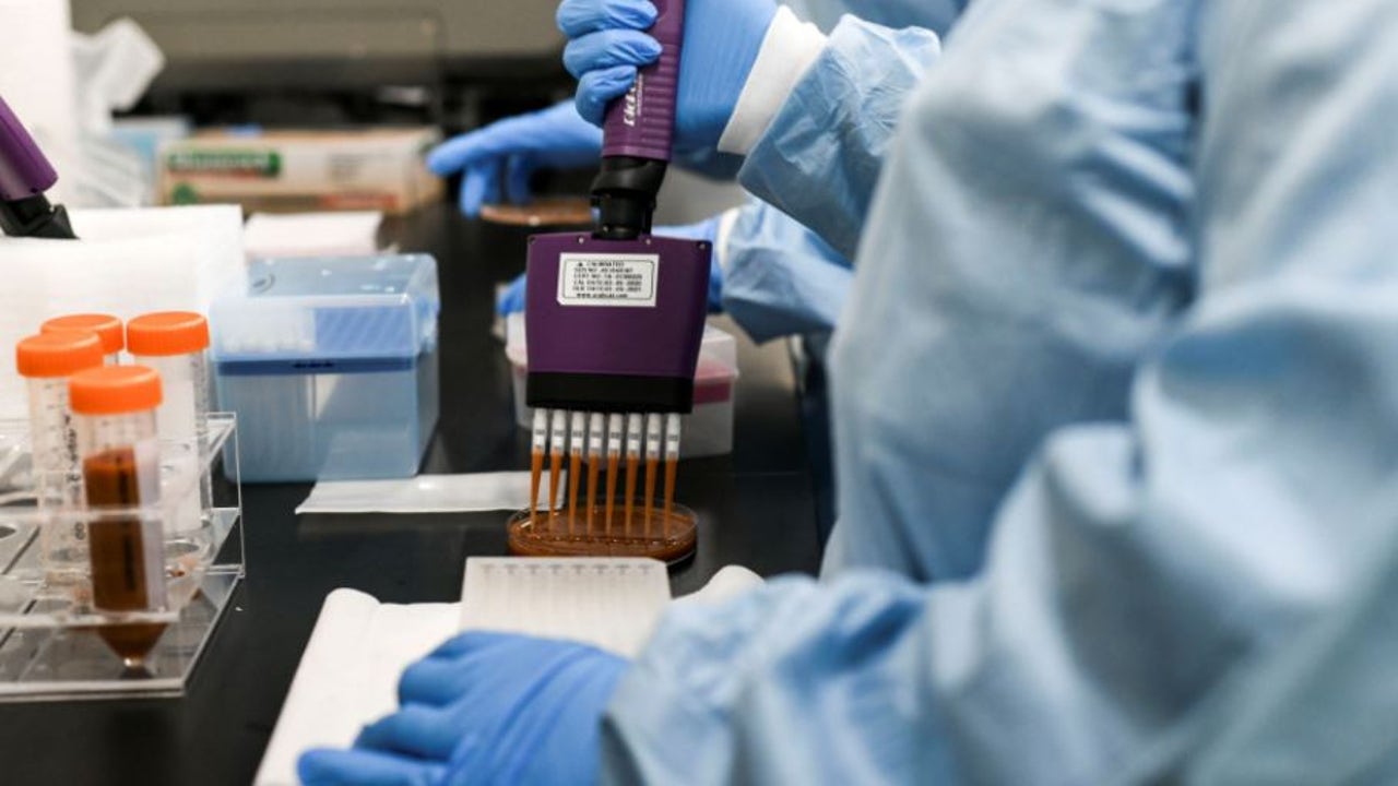 La combinación quimio-inmunoterapia reduce a la mitad las recaídas post cirugía en cáncer de pulmón
