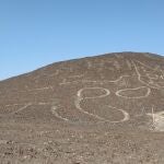 This handout photo provided by Peru's Ministry of Culture-Nasca-Palpa shows the figure of a feline on a hillside in Nazca, Peru, Friday, Oct. 9, 2020. Peruvian archaeologists carrying out maintenance work in the renowned Nazca Lines geoglyphs site have discovered the figure of a feline which was barely discerniable and almost completely erased, the Ministry of Culture reported on Friday, Oct. 16. (Jhony Islas/Peru's Ministry of Culture - Nasca-Palpa via AP)
