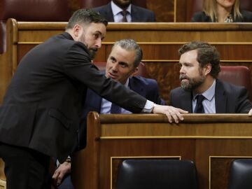 Los diputados de Vox Santiago Abascal, Javier Ortega Smith e Iv&aacute;n Espinosa de los Monteros durante el pleno del Congreso de los Diputados en el que se comienza a tramitar la regulaci&oacute;n de la eutanasia, este martes en Madrid.