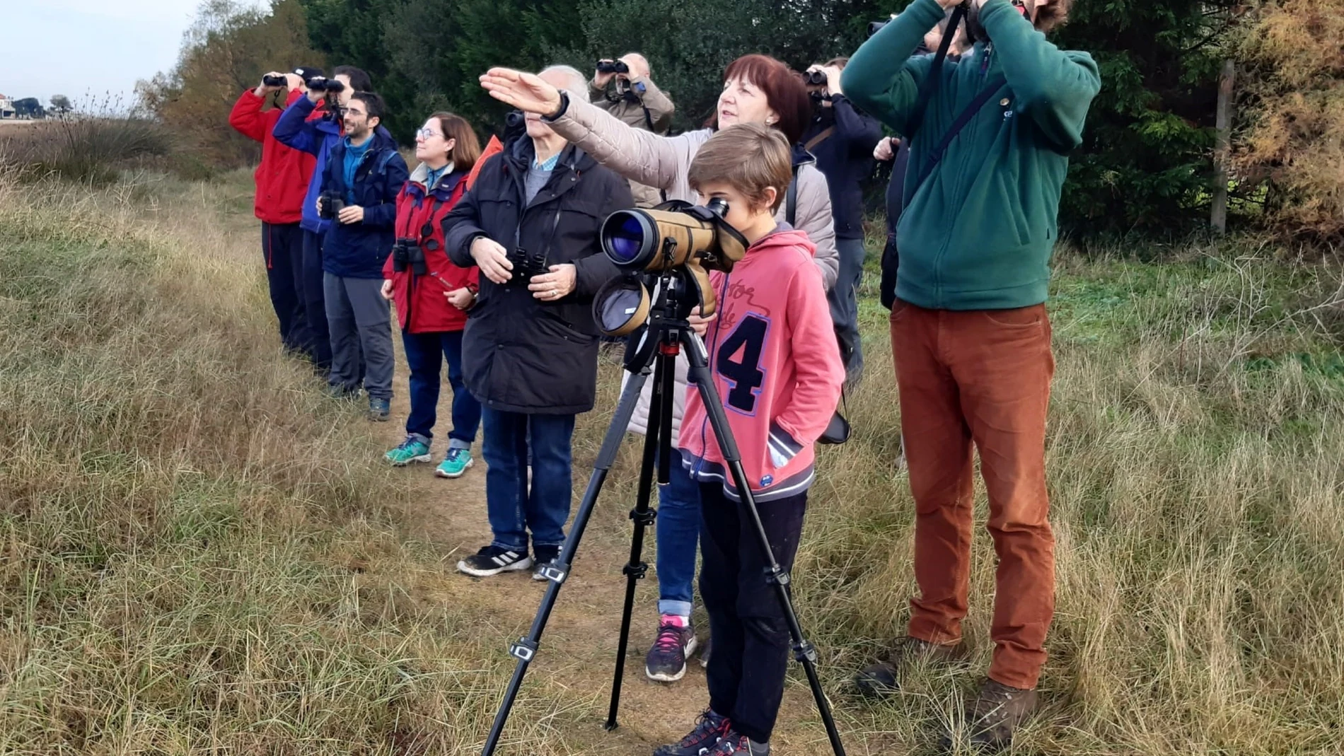 Turismo de observación de la naturaleza