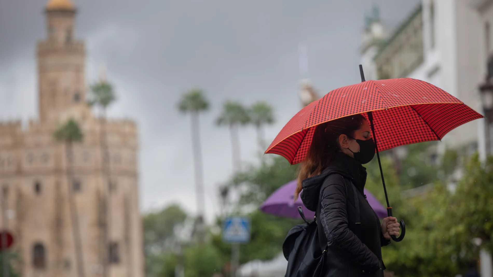 Una mujer bajo su paraguas durante una jornada de lluvia en Sevilla