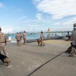 Militares durante ejercicios de entrenamiento en la base de Rota