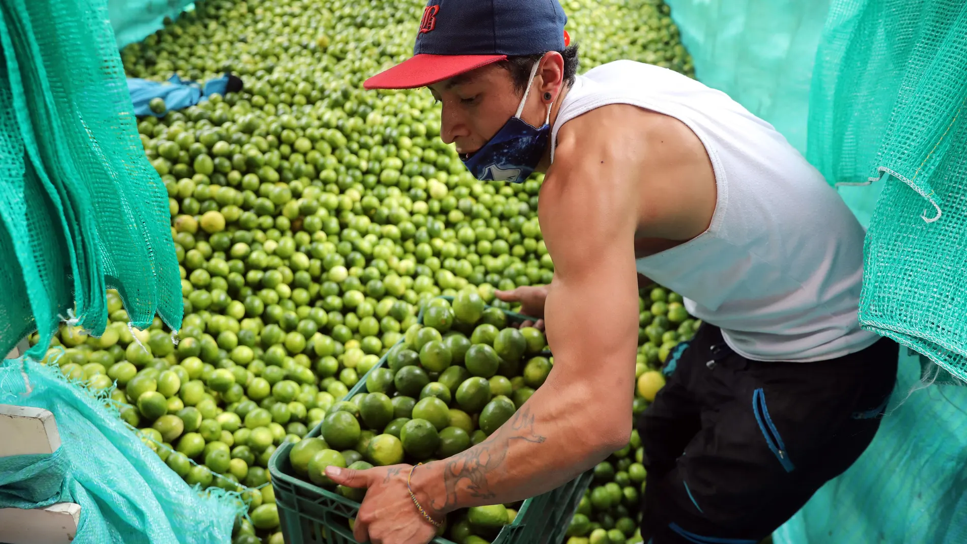 UPTA reclama más prevención y un plan al Gobierno