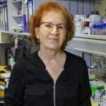 Margarita del Val