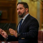 El lider de Vox, Santiago Abascal, durante una sesión plenaria en el Congreso