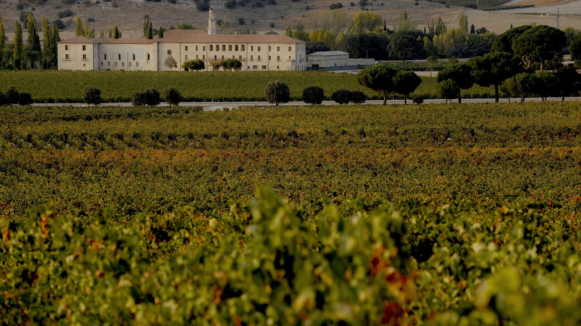 La bodega vallisoletana Abadia Retuerta Le Domaine