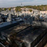 Prisión para un hombre que violó a una discapacitada en un cementerio de Murcia