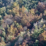 Llega el otoño a Castilla y León