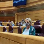 La senadora y presidenta del PP de Segovia, Paloma Sanz, durante la sesión de control del Gobierno en la Cámara Alta