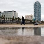 El temporal Gloria se llevó por delante casi el 50% de la arena