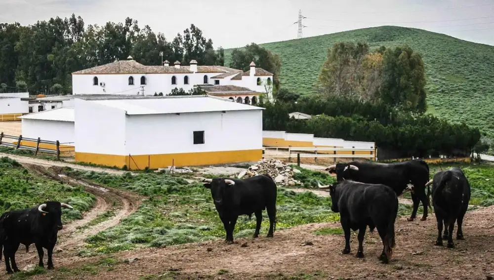 La finca Cantora