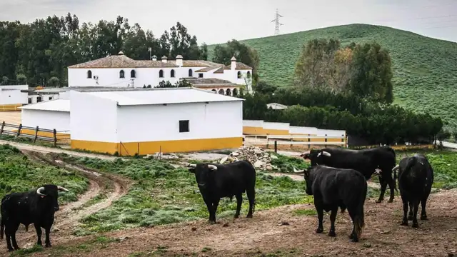 La finca Cantora La finca Cantora