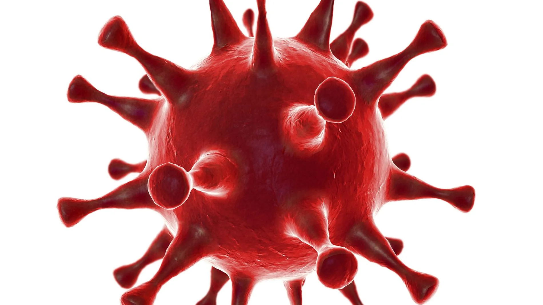 Microscope virus close up.