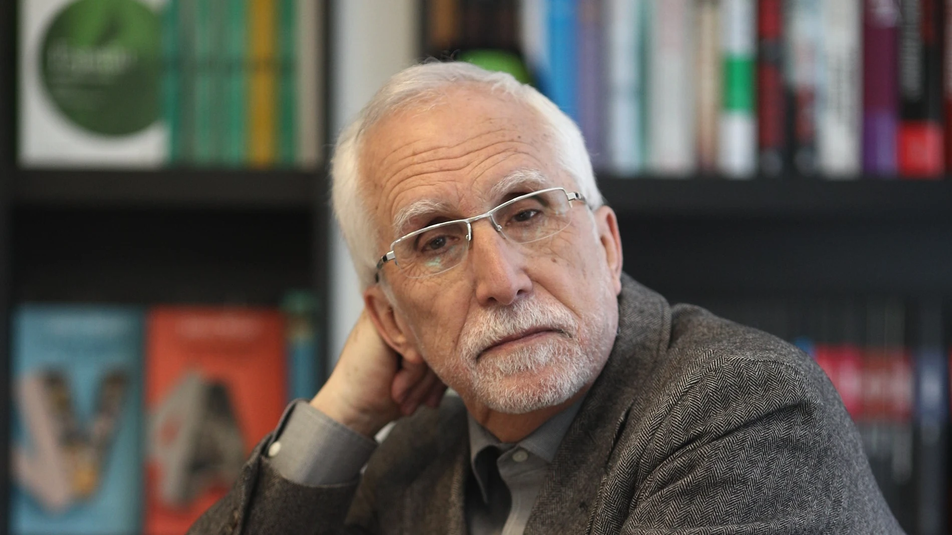 El novelista Luis Mateo Díez