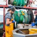 Los pescadores Neil Witney y Nathan Harman en una jornada de pesca en la costa de Newhaven, Sussex, en Reino Unido
