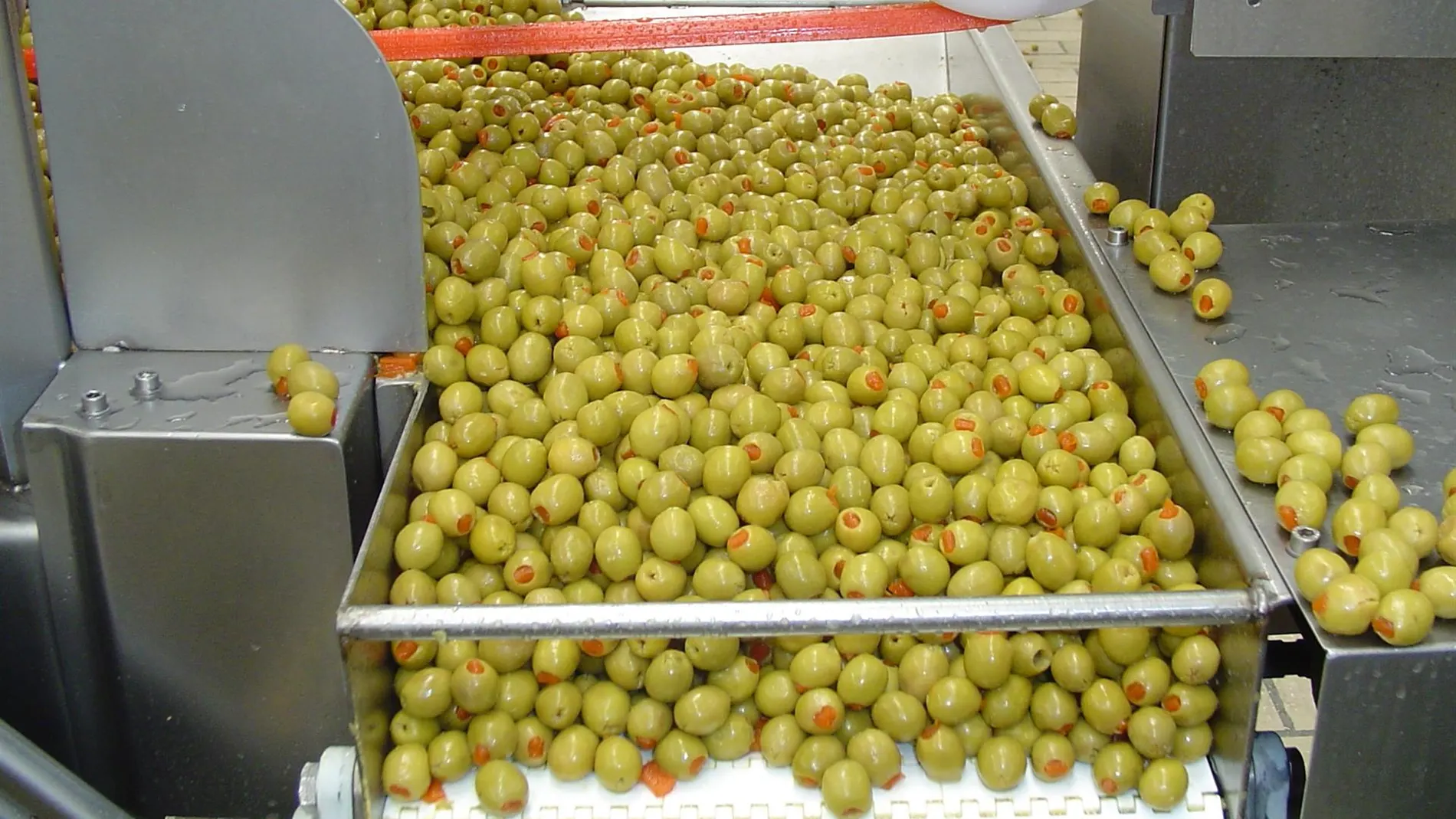 La aceituna de mesa