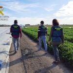 Imagen de la operación desarrollada por la Guardia Civil en el campo