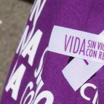 Día Internacional contra la Violencia de Género
