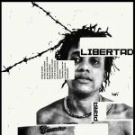 Cartel por la libertad de Denis Solís