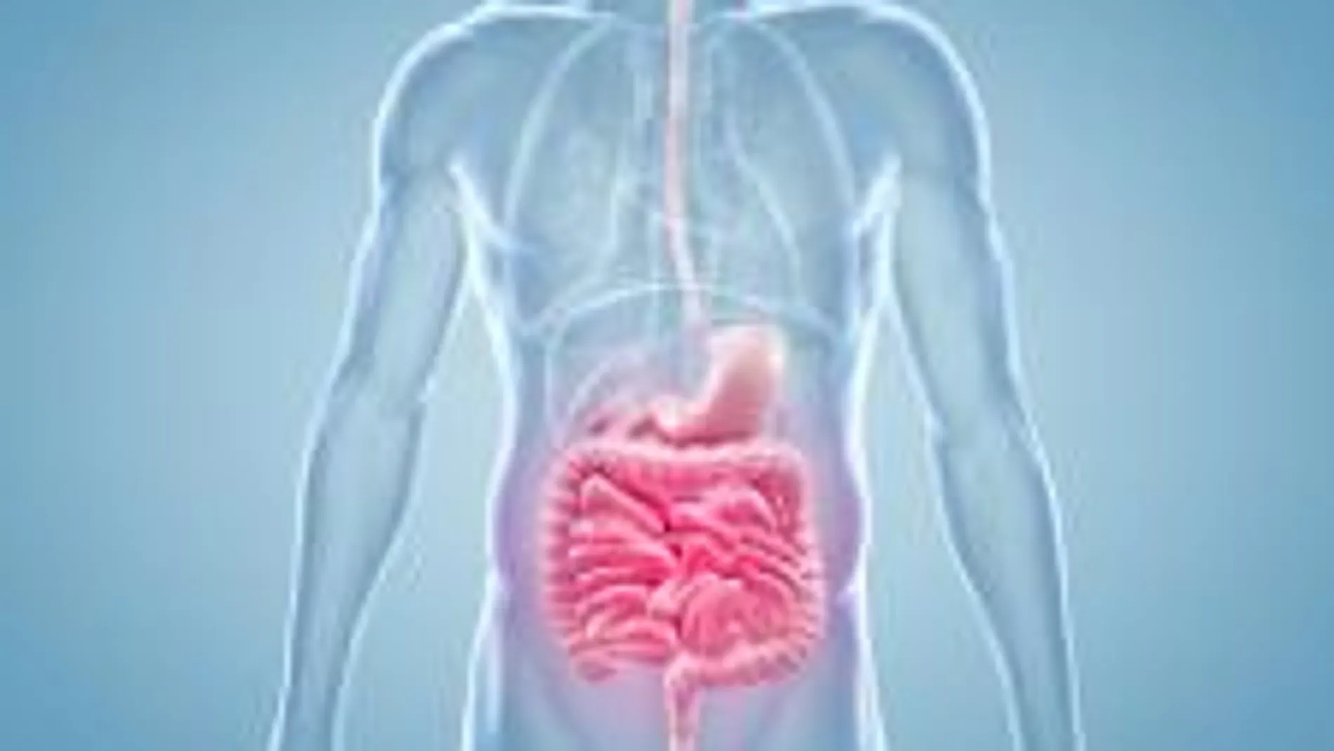 EL Hospital HLA Moncloa incorpora inteligencia artificial para tratar el cáncer de colon.
