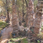 Un análisis de aguas residuales de más de 30 depuradoras en España ha detectado restos de virus SARS-CoV2, aunque la Organización Mundial de la Salud asegura que la reutilización de agua regenerada es segura
