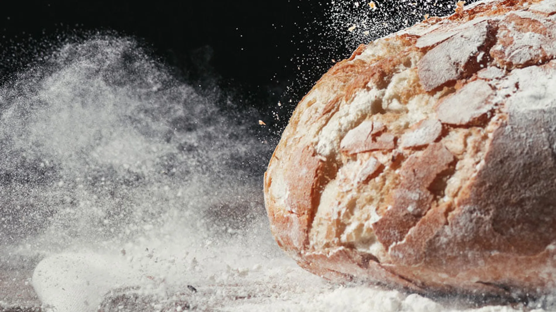 Está claro que es un alimento básico que forma parte de la dieta diaria, pero existe una serie de conceptos y datos que necesitas conocer para comprender todas sus maravillas.