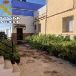 Imagen del patio de la vivienda repleto de plantas de marihuana