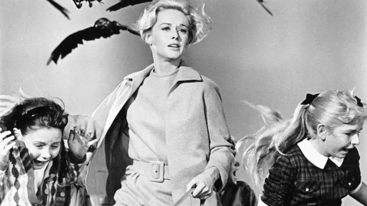 Pajaros de Hitchcok
