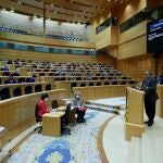 GRAF5475. MADRID, 15/12/2020.- El senador del Partido Popular Antonio Alarcó Hernández interviene durante el pleno celebrado en el Senado para debatir sobre el Proyecto de Ley de Presupuestos Generales del Estado para 2021, este martes. EFE/ Zipi