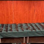 Algunas de las pistolas que se han incautado