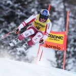 Matthias Mayer de Austria acelera por la pendiente durante la carrera de descenso masculina de la Copa del Mundo de Esquí Alpino de la FIS en Bormio (Italia), 30 de diciembre de 2020. (Italia) EFE/EPA/ANDREA SOLERO
