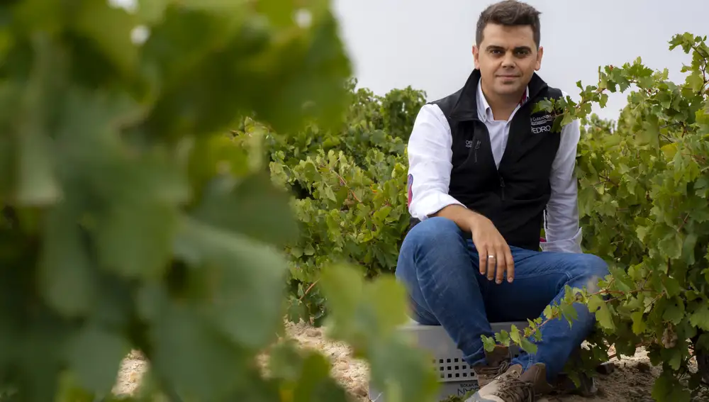Pedro Ruiz Aragoneses, consejero delegado de Alma Carraovejas