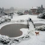 Vista de la nevada que ha ca&iacute;do en la ciudad de Lleida, este s&aacute;bado a mediod&iacute;a